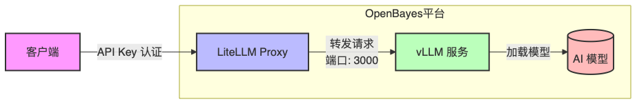 litellm 和 vllm 的部署架构