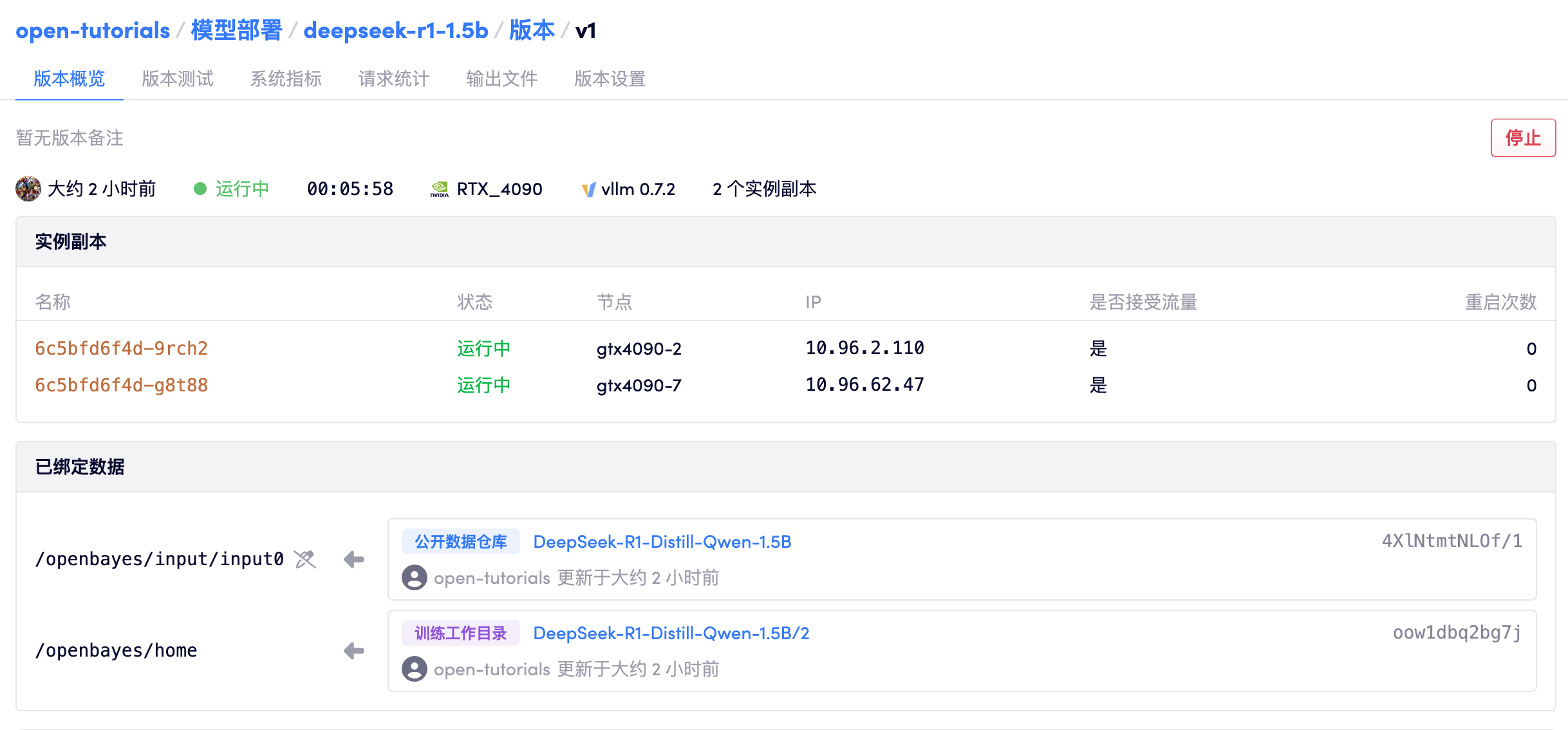 模型部署 - 多个实例